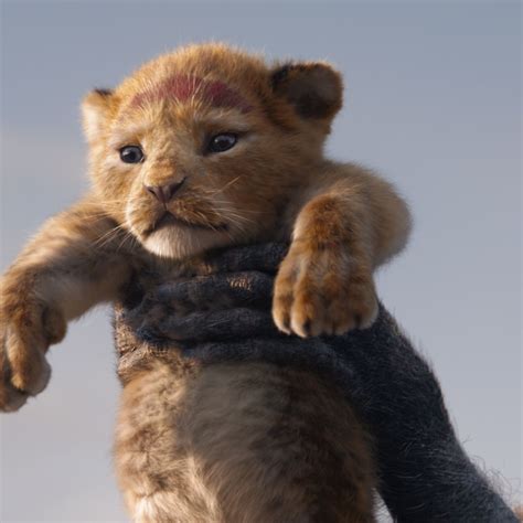 lion king 2019 stream online|watch lion king 2019 free.